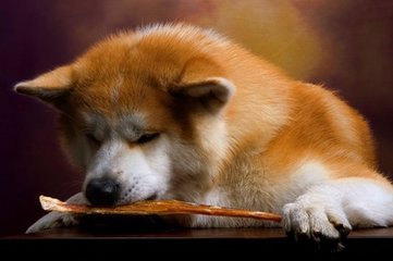 USDT钱包(Tether)钱包安卓版